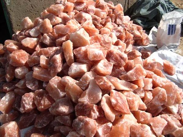 export rock salt market