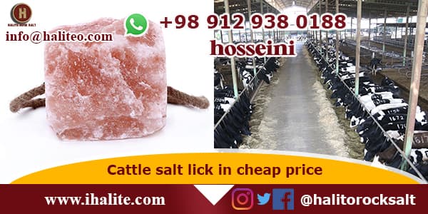 salt block for horses