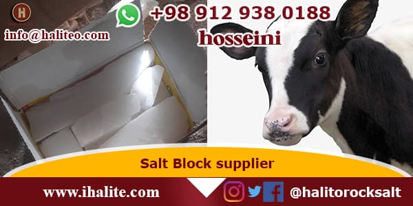 salt block for cows