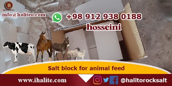 salt block goats