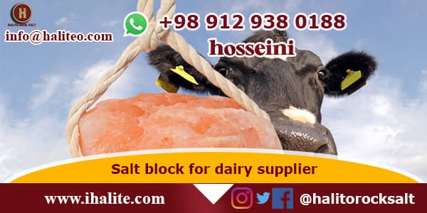 salt block for horses