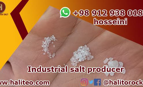 industrial salt producer