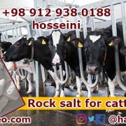 Rock salt for cows
