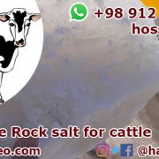 Cattle rock salt