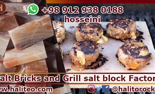 salt bricks
